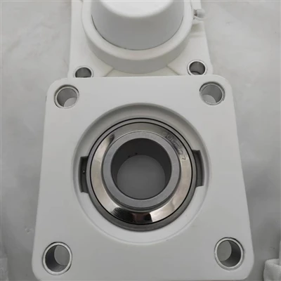 The Bearing International Standard Stage lägger till Luoyang Wisdom